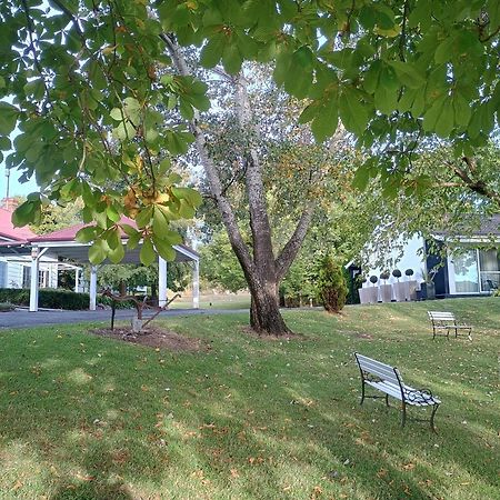 Moore Park Inn Armidale Exterior foto